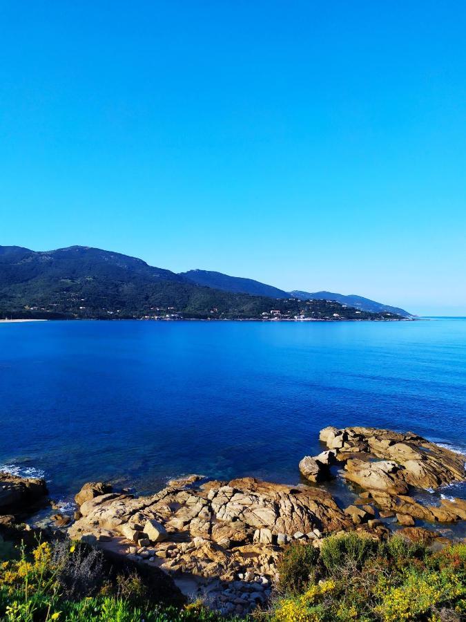 Narval Blanc Calcatoggio (Corsica)
